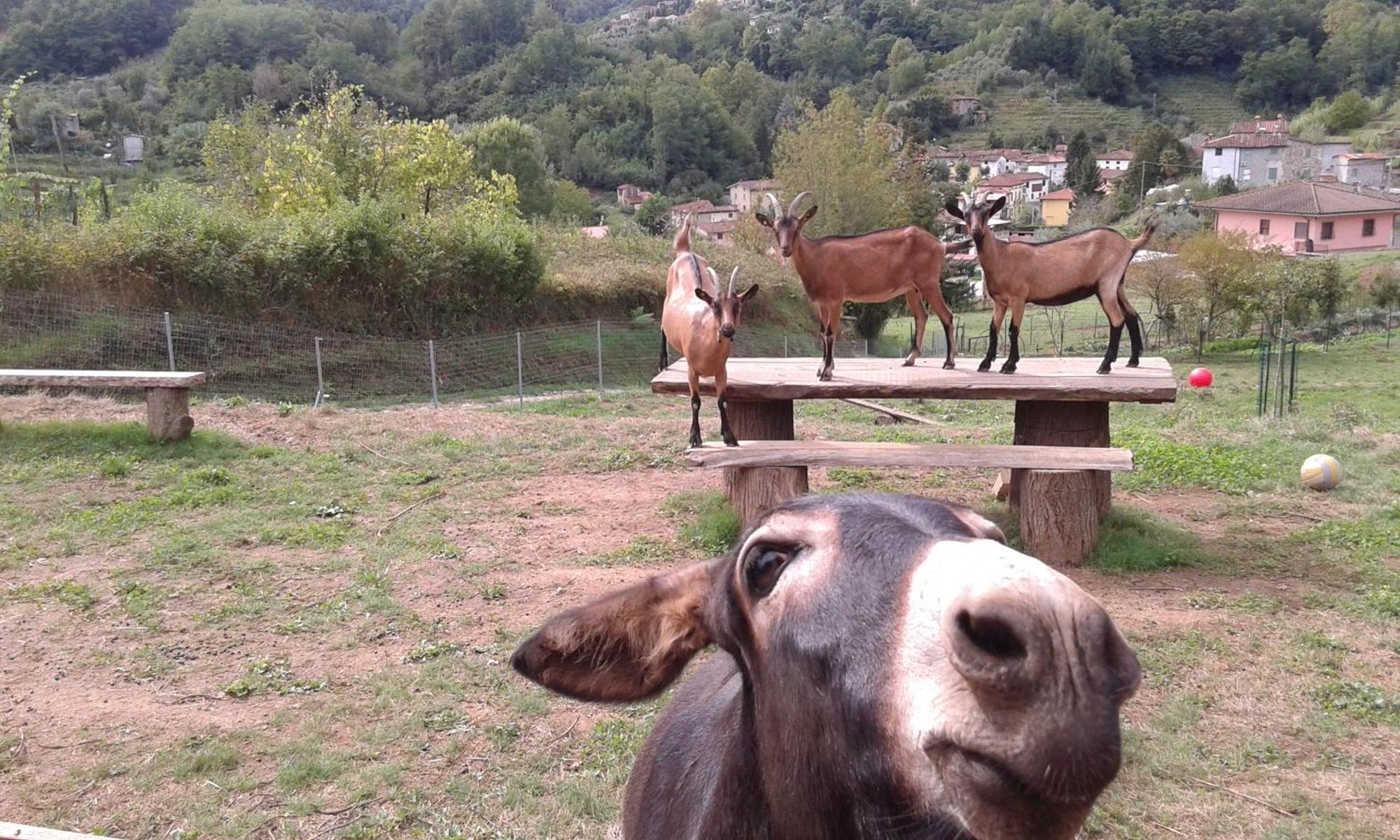 La Finestra Sulla Valle Valdottavo Extérieur photo