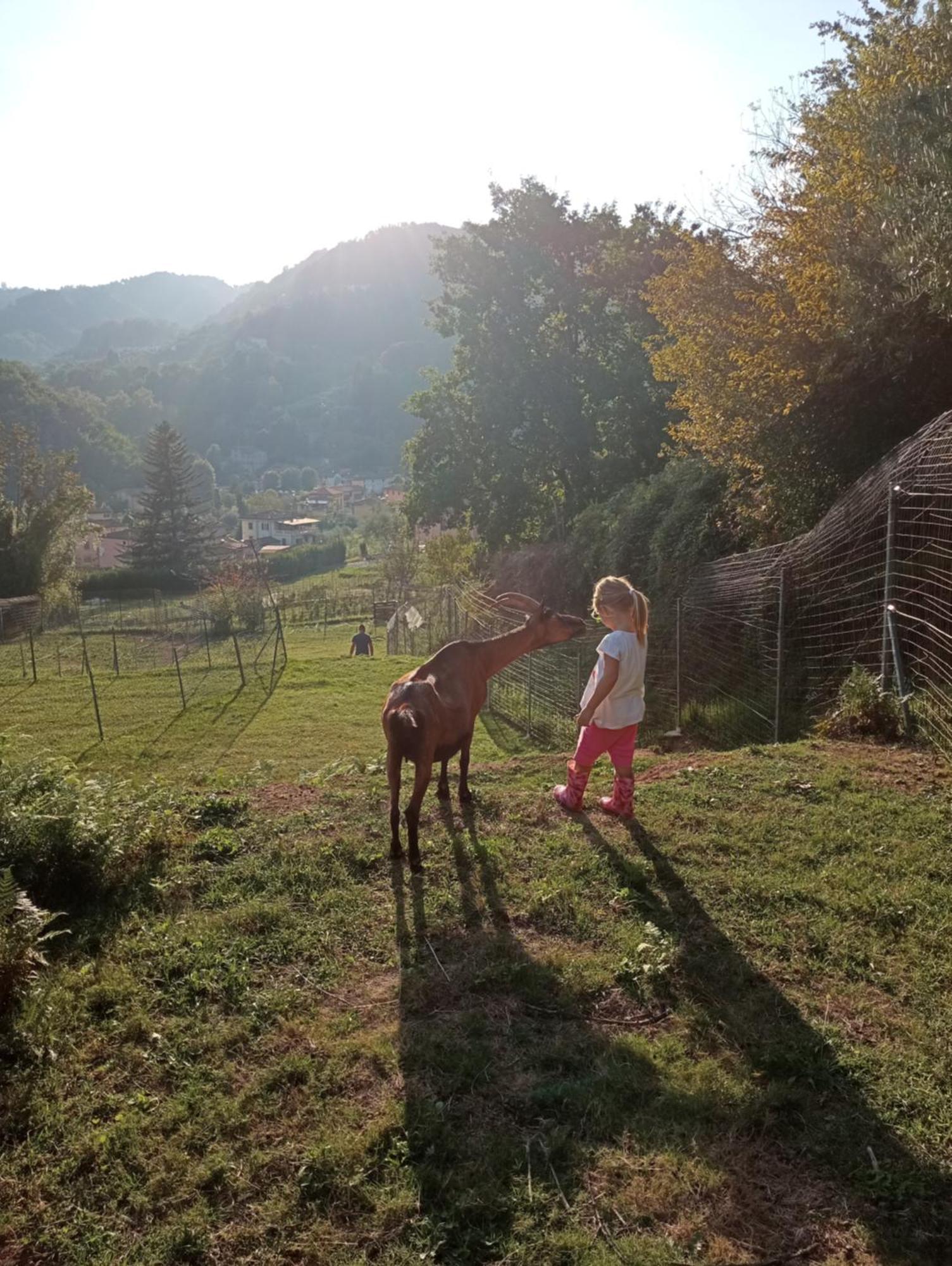 La Finestra Sulla Valle Valdottavo Extérieur photo